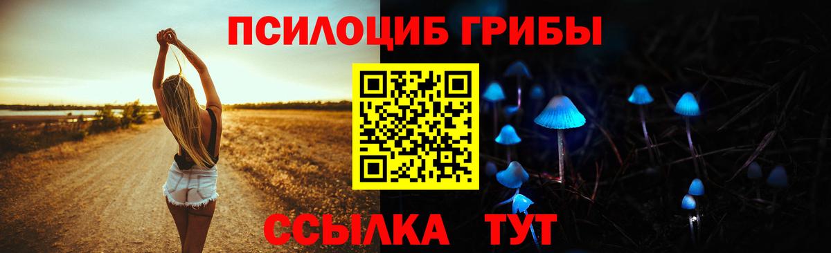 Псилоцибиновые грибы Magic Shrooms Пушкино